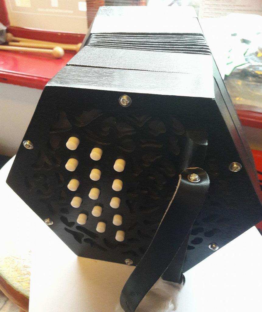 Beginner Anglo C/G Concertina