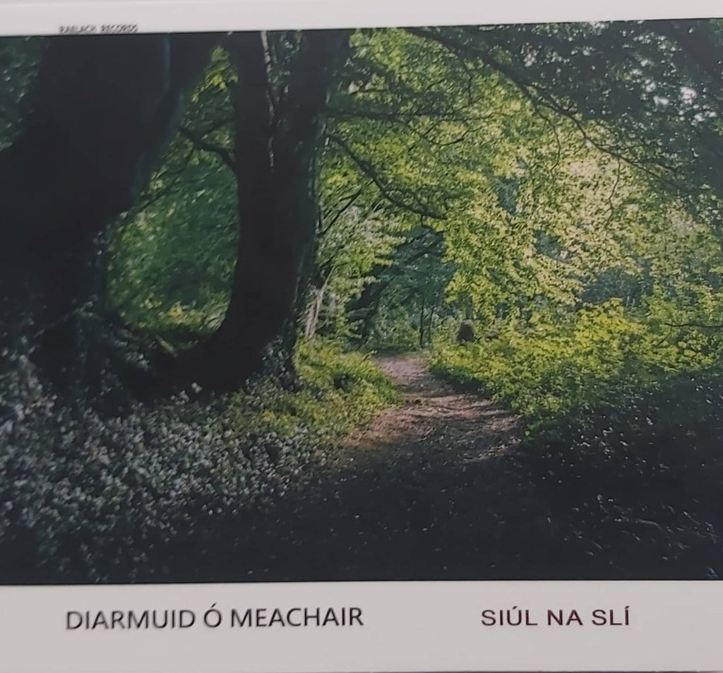 Diarmuid Ó Meachair <h4> Siúl na Slí